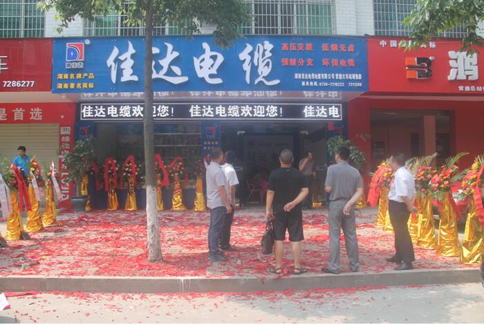 湖南SWAG视频APP下载电线电缆有限公司,SWAG视频APP下载电线电缆,SWAG视频黄色网站下载系列,控制电缆,电线电缆企业哪里好