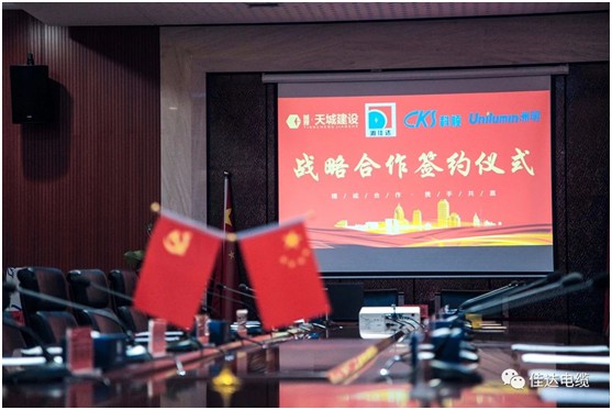 SWAG视频APP下载电缆有限公司,SWAG视频APP下载电缆,湖南SWAG视频APP下载，