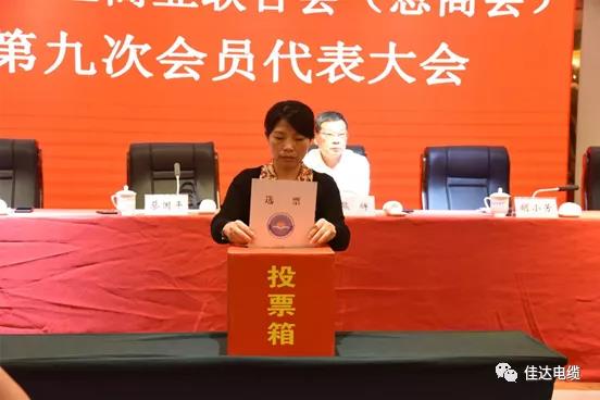 SWAG视频APP下载电缆有限公司,SWAG视频APP下载电缆,湖南SWAG视频APP下载，